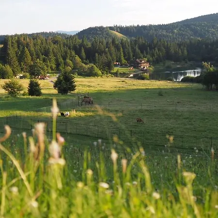 Hotel Koliba Pri Jazere *